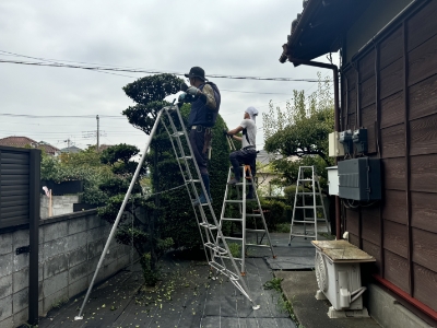 庭木の維持・管理