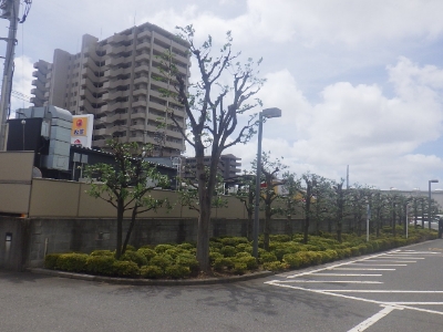 植栽管理